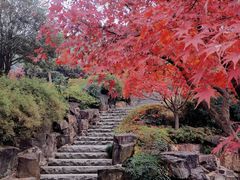 -苏州上方山国家森林公园