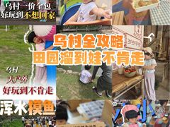 -乌村