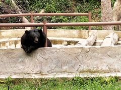 -清迈夜间动物园