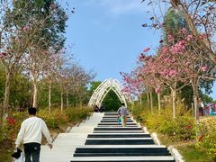 -盈香心动乐园