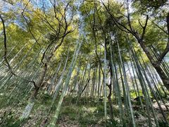 -天目湖山水园