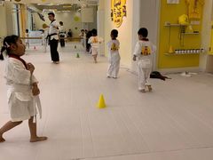 -勇气斑马·巴西柔术&跆拳道(浦东三林店)