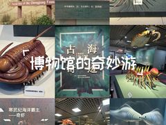 -国家自然博物馆