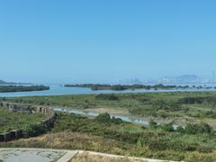 -福田红树林生态公园