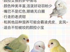 -爱侣宠医·鹦鹉专科·小型哺乳类·异宠专科(灵石路店)