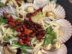 -鲁前海沿儿