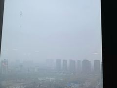 -君悦酒店·乐厨·高空自助餐(青年大街店)