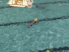 -福建省奥林匹克体育中心游泳馆