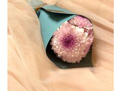 -小苍兰风铃草蛋糕甜品(沈阳店)