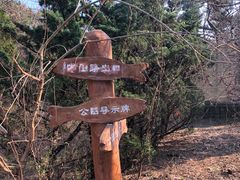 -西尖山公园