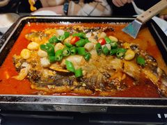-炉鱼(亲橙里店)
