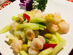 -云中小雅