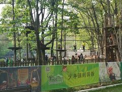 -紫金山山顶公园