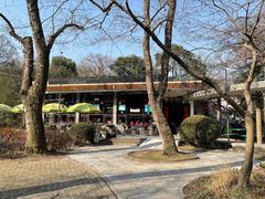 -绿野餐厅(上海动物园店)