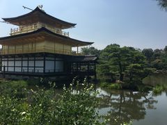 -豆政(金閣寺境内売店)