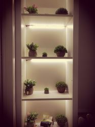 -scarlet斯卡莱美容护理机构