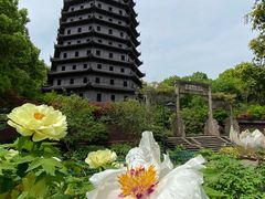 -六和塔文化公园