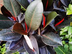 -成康体育青少年篮球培训(相城店)