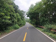 -宝界山林公园