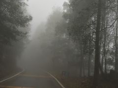 -广州市石门国家森林公园