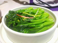-点都德·毕德寮