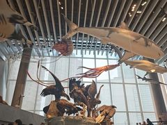 -国家自然博物馆