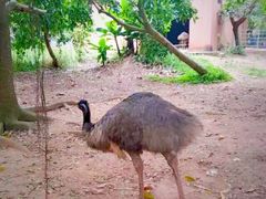 -广东茂名森林公园