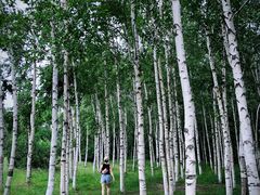 -长春市南湖公园