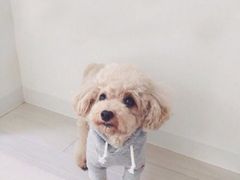 -瑞派·关忠动物医院·异宠专科·犬猫肿瘤·皮肤专科(望京店)