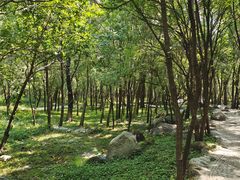 -玉渡山自然风景区