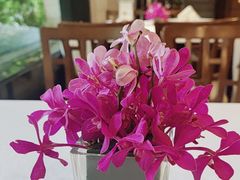 -阿诺泰·泰国餐厅(棕北店)