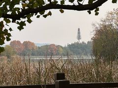 -东湖落雁景区