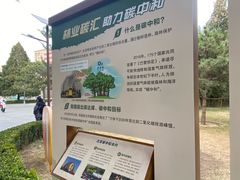-团结湖公园