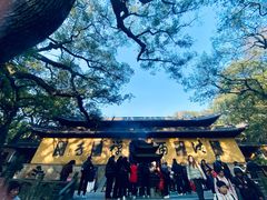 -普陀山风景名胜区-法雨禅寺