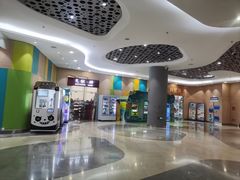 -中国宋庆龄青少年科技文化交流中心