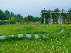 -太阳宫公园