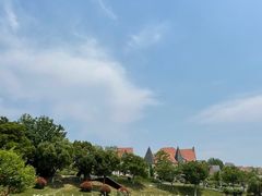 -大塘金香草谷