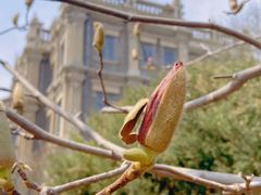 -张学良旧居陈列馆(大帅府)