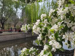 -元大都城垣遗址公园