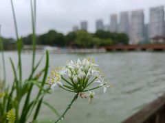 -时间仓(月湖公园店)