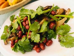 -锦江中华村农家乐饭庄