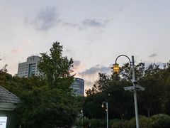 -新虹桥中心花园