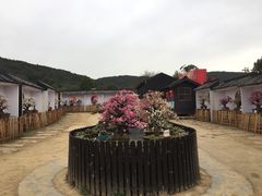 -香雪海