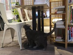 -小时光咖啡馆(开森度假森林店)