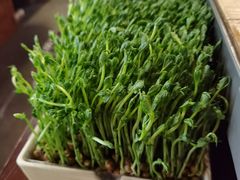 鲜豆豌豆苗-湊湊火锅·茶憩(上海合生汇店)