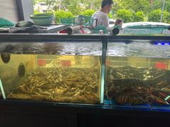-金海湾海鲜排档(朱家尖店)