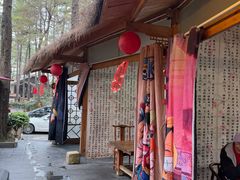 -小小饭店·休闲农庄·安吉松树林里的农家菜
