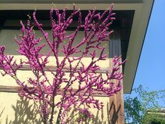 -金石唐风国际温泉会馆