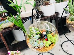 -秦美花卉(天朗·莱茵小城2期店)