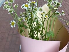 -何兮花店·气球派对鲜花店(马桥银春路万科城店)